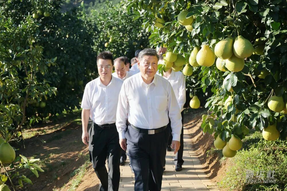 20251110084131_8925 俄罗斯·专享会294VIP(中国区)官方网站